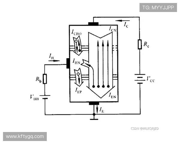 PP Electronics官方网站为您提供全面的电子元件选购指南与技术支持帮助您轻松实现设计目标