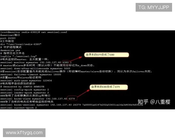如何解决凯发网投会员登录遇到的常见问题，提供实用技巧与故障排除方法